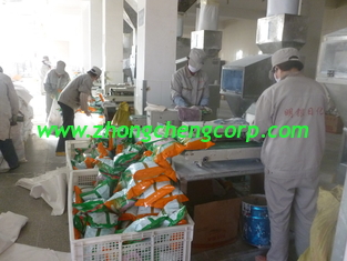 الصين top quality 100g, 200g 300g low price detergent powder/washing powder to afirca market المزود