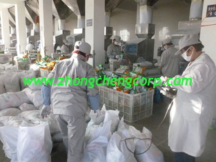 الصين lemon smell 70g 90g good quality washing powder/bulk bag detergent powder for hand washing المزود