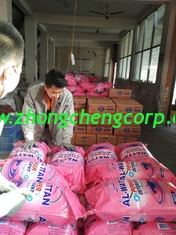 الصين 1kg 2kg good quality washing powder/ high foam famous detergent powder with cheap price المزود