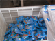 we manufacture blue color detergent powder/low price blue detergent powder/blue washing po المزود
