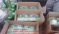 good quality 1kg,2kg, 3kg, 5kg eco-friendly washing powder/enzyme washing powder packaged by boxes المزود