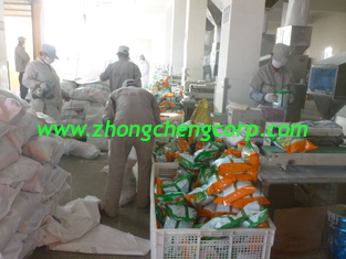 الصين hot sale oem low price detergent powder/carton box washing powder with 200g,300g,500g,600g المزود