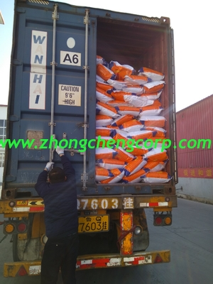 low cost of Mild washing whitening soap powder/brand washing detergent powder/branded detergent making factory in China