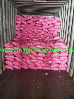 packing 30g 35g bag Laundry Detergent Powder clean bright fresh for hand wash, front and top loading washing machine