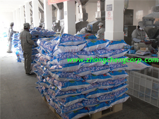 lilac strong smell good quality washing powder/champion detergent powder with cheap price