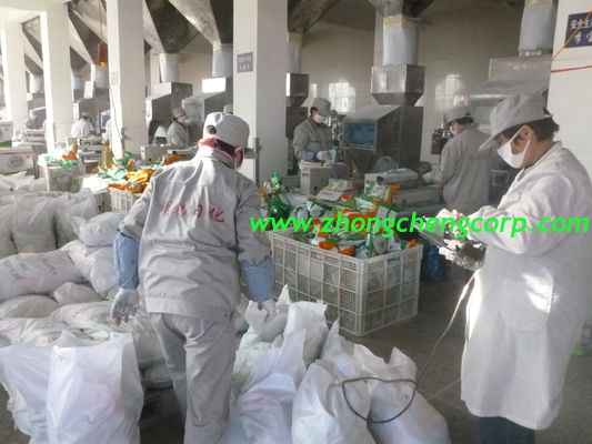we produce 25g, 30g, 50g, 70g ,90g, 100g ome washing powder/oem detergent powder hot sale
