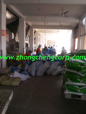 15g, 1kg Madar brand good quality washing powder/new detergent washing powder sell to africa market