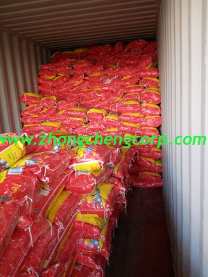 10kg good smell cheap price clothes washing powder/cleaning detergents to africa market with good quality